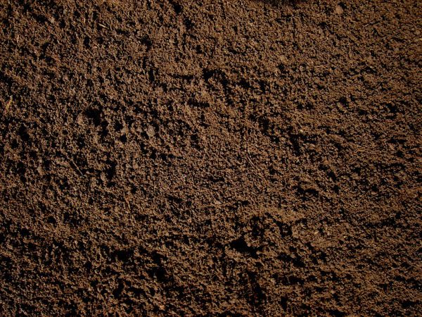 dirt_giant_topsoil